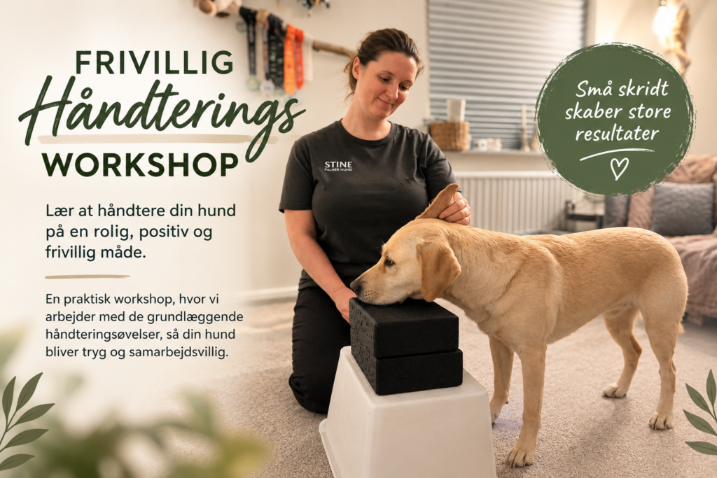 Frivillig håndterings workshop- PalnerHund - 14. November